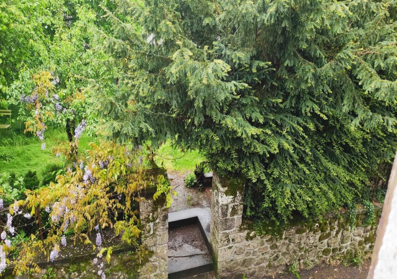 Cap Nature - T4 Et T3 En Perigord Vert - Ideal Pros Et Groupes Max 18P Champniers-et-Reilhac Dış mekan fotoğraf
