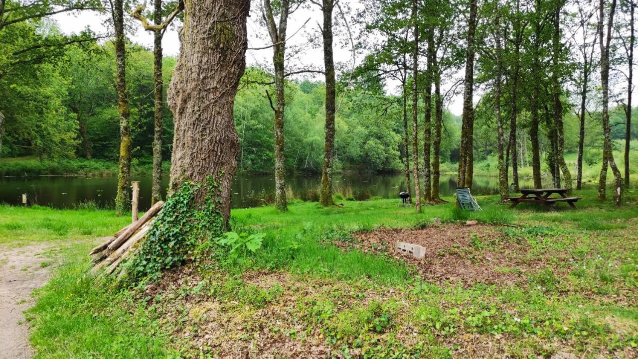 Cap Nature - T4 Et T3 En Perigord Vert - Ideal Pros Et Groupes Max 18P Champniers-et-Reilhac Dış mekan fotoğraf